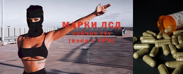 не бодяженный Аркадак